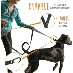 Mighty Paw 2.0 Neoprene Dual Handle HandleX2 Dog Leash, 72-in 14 Mighty Paw 2.0 Neoprene Dual Handle HandleX2 Dog Leash, 72-in -Blue Buffalo Shop 342213 PT4. AC SS1800 V1636998389