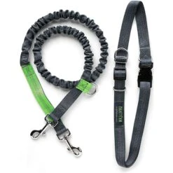 Mighty Paw Hands Free Nylon Bungee Dog Leash Set