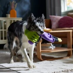 Frisco Halloween Candelabra Plush Squeaky Dog Toy 9 Frisco Halloween Candelabra Plush Squeaky Dog Toy -Blue Buffalo Shop 344022 PT3. AC SS1800 V1657657031