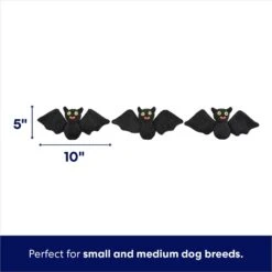 Frisco Halloween Haunted House Hide & Seek Puzzle Plush Squeaky Dog Toy -Blue Buffalo Shop 344136 PT2. AC SS1800 V1690911191