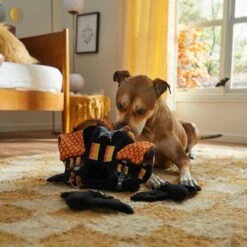 Frisco Halloween Haunted House Hide & Seek Puzzle Plush Squeaky Dog Toy -Blue Buffalo Shop 344136 PT3. AC SS1800 V1657657042