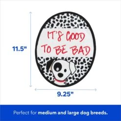 Disney Villains Cruella De Vil Flat Plush Squeaky Dog Toy 6 Disney Villains Cruella De Vil Flat Plush Squeaky Dog Toy -Blue Buffalo Shop 344469 PT1. AC SS1800 V1698956889