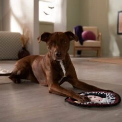 Disney Villains Cruella De Vil Flat Plush Squeaky Dog Toy 7 Disney Villains Cruella De Vil Flat Plush Squeaky Dog Toy -Blue Buffalo Shop 344469 PT3. AC SS1800 V1657657086