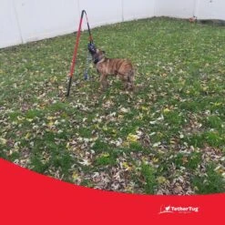 Tether Tug Big Dog Toy 17 Tether Tug Big Dog Toy -Blue Buffalo Shop 345338 PT6. AC SS1800 V1642017406