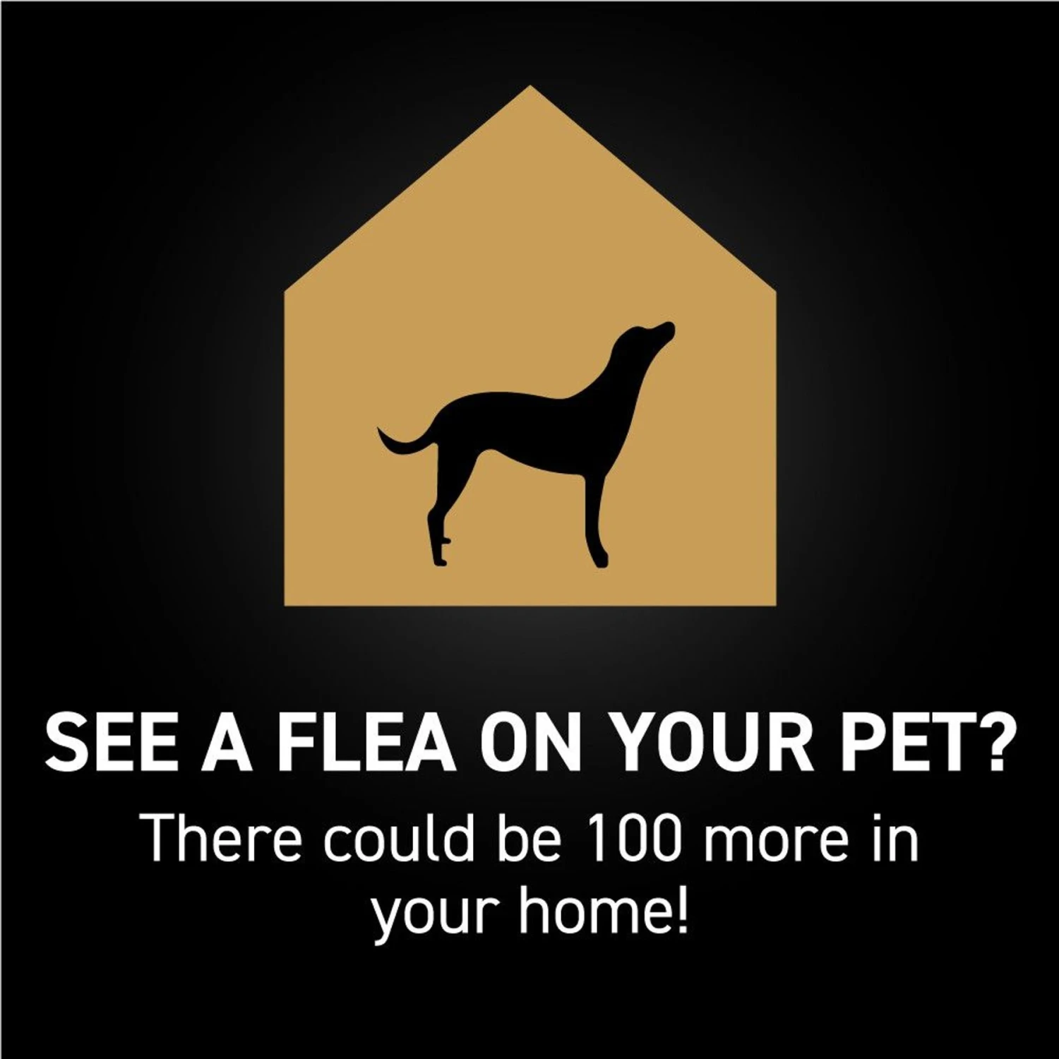 NextStar Flea & Tick Spot Treatment For Medium Dogs, 23-44 Lbs 8 NextStar Flea & Tick Spot Treatment For Medium Dogs, 23-44 Lbs - Image 6