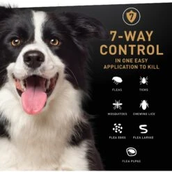 NextStar Flea & Tick Spot Treatment For Medium Dogs, 23-44 Lbs 19 NextStar Flea & Tick Spot Treatment For Medium Dogs, 23-44 Lbs -Blue Buffalo Shop 346071 PT8. AC SS1800 V1645206404