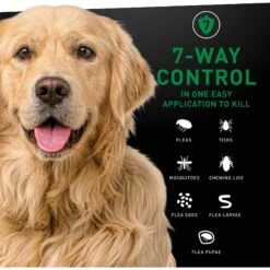 NextStar Flea & Tick Topical Treatment For Large Dogs, 45-88 Lbs 19 NextStar Flea & Tick Topical Treatment For Large Dogs, 45-88 Lbs -Blue Buffalo Shop 346073 PT8. AC SS1800 V1645206408