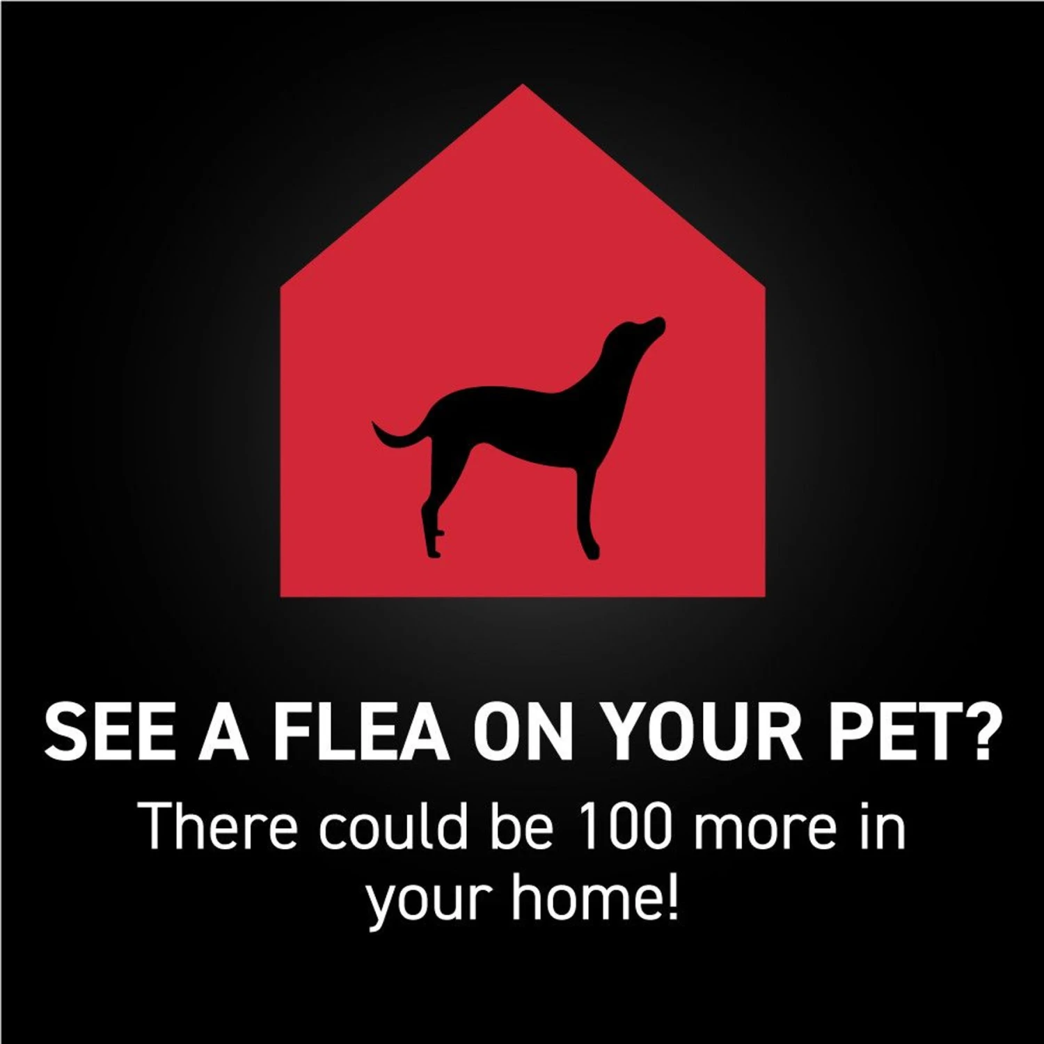 NextStar Flea & Tick Spot Treatment For X-Large Dogs, 89-132 Lbs 8 NextStar Flea & Tick Spot Treatment For X-Large Dogs, 89-132 Lbs - Image 6