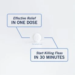 PetArmor CapAction Oral Flea Treatment For Dogs 25+ Lbs 6 Doses -Blue Buffalo Shop 346081 PT6. AC SS1800 V1696534097