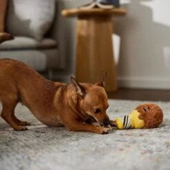 STAR WARS Candy Shop CHEWBACCA Ice Cream Plush With Rope Squeaky Dog Toy -Blue Buffalo Shop 346108 PT3. AC SS1800 V1659546954