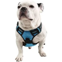 EliteField Padded Reflective No Pull Dog Harness -Blue Buffalo Shop 346586 PT2. AC SS1800 V1641615985