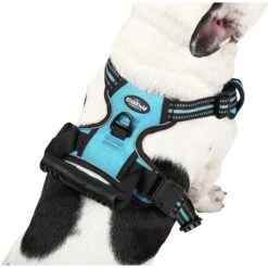 EliteField Padded Reflective No Pull Dog Harness -Blue Buffalo Shop 346586 PT3. AC SS1800 V1641607307