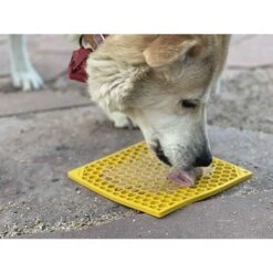 SodaPup Emat Honeycomb Dog Lick Mat 18 SodaPup Emat Honeycomb Dog Lick Mat -Blue Buffalo Shop 346975 PT7. AC SS1800 V1638316029