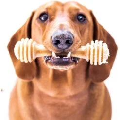 SodaPup Nylon Honey Bone Chew Dog Toy 11 SodaPup Nylon Honey Bone Chew Dog Toy -Blue Buffalo Shop 347056 PT1. AC SS1800 V1638339401