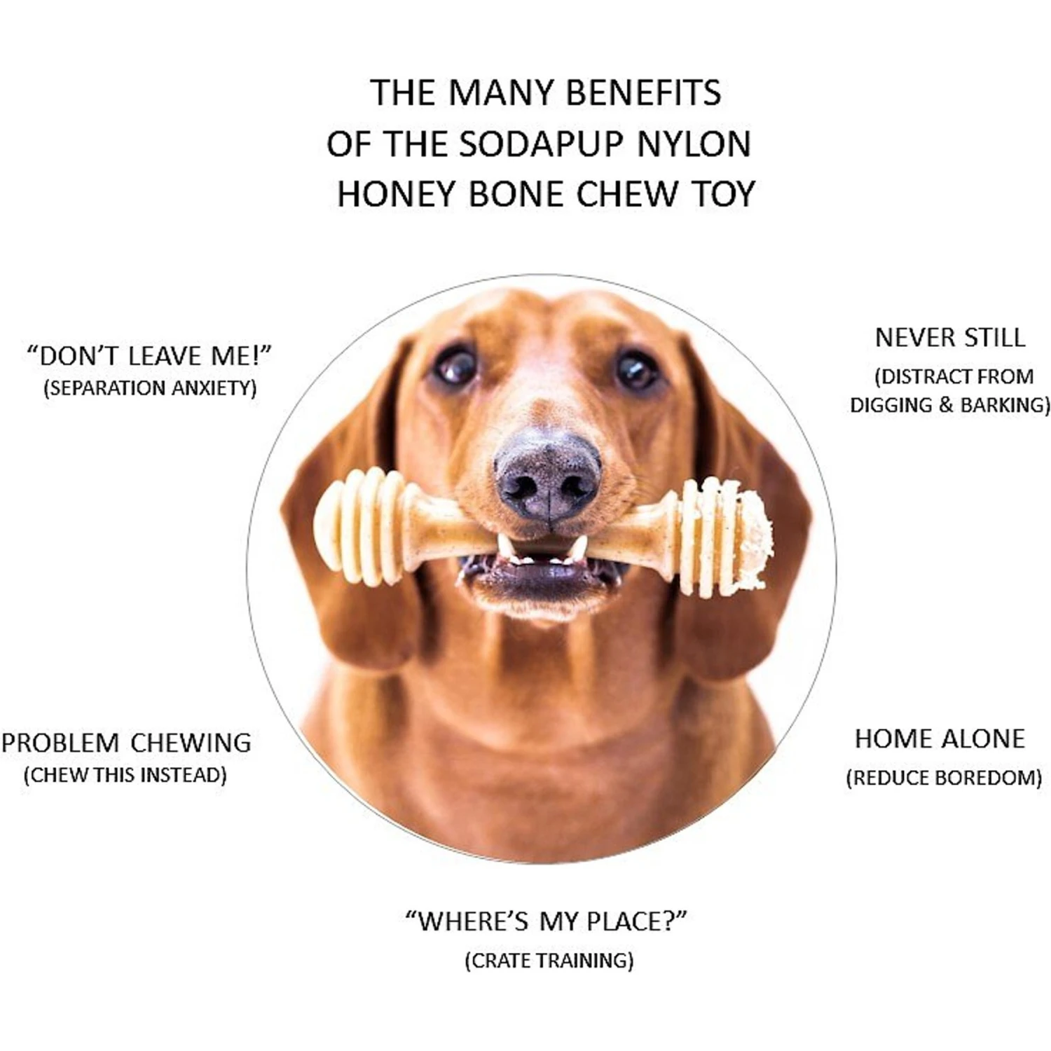 SodaPup Nylon Honey Bone Chew Dog Toy 6 SodaPup Nylon Honey Bone Chew Dog Toy - Image 4