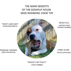 SodaPup Nylon Mod Wishbone Chew & Enrichment Dog Toy -Blue Buffalo Shop 347068 PT2. AC SS1800 V1638339745