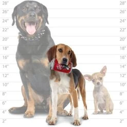 Tuffy's Mr Slobber Durable Squeaky Dog Toy -Blue Buffalo Shop 347156 PT6. AC SS1800 V1638295600