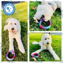 Sweet Paws Chunky Wearable Puppy Teether Stack Dog Toy, 2 Count 12 Sweet Paws Chunky Wearable Puppy Teether Stack Dog Toy, 2 Count -Blue Buffalo Shop 347877 PT1. AC SS1800 V1660772836