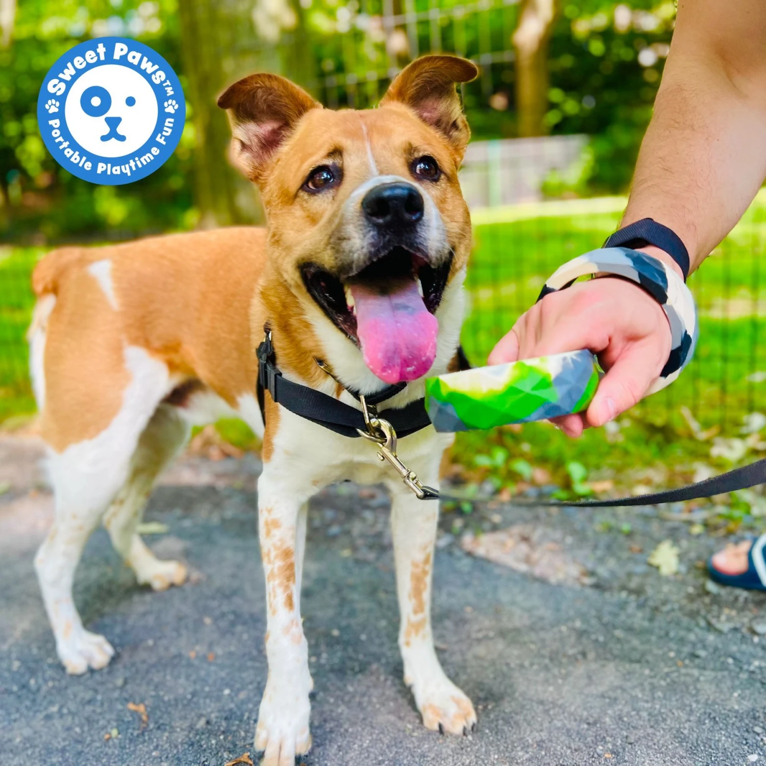 Sweet Paws Chunky Wearable Puppy Teether Stack Dog Toy, 2 Count 10 Sweet Paws Chunky Wearable Puppy Teether Stack Dog Toy, 2 Count - Image 8