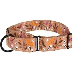CollarDirect Floral Design Pattern Nylon Martingale Dog Collar