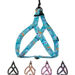 CollarDirect Floral Pattern Adjustable Nylon Step-in Dog Harness -Blue Buffalo Shop 348029 PT3. AC SS1800 V1639793506