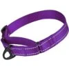 CollarDirect Reflective Martingale Nylon Dog Collar -Blue Buffalo Shop 348143 MAIN. AC SS1800 V1639787205
