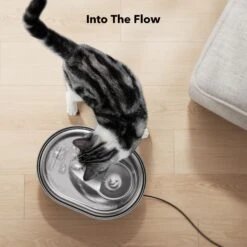 Petlibro Stainless Steel Dog & Cat Water Fountain, 2-L -Blue Buffalo Shop 352550 PT8. AC SS1800 V1689084885