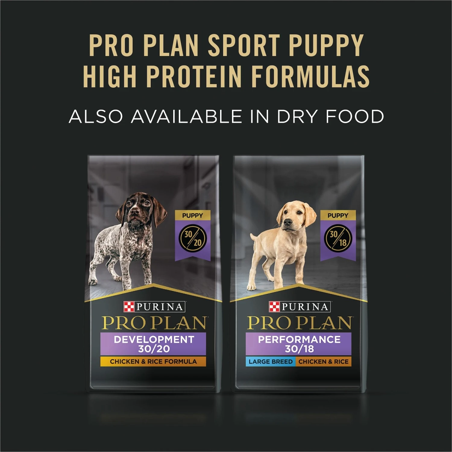 Purina Pro Plan Sport Puppy High Protein Chicken & Rice Wet Dog Food, 13-oz Can, Case Of 12 8 Purina Pro Plan Sport Puppy High Protein Chicken & Rice Wet Dog Food, 13-oz Can, Case Of 12 - Image 6