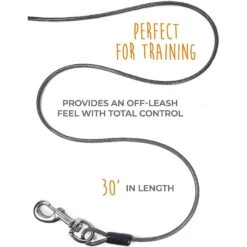 Mighty Paw Tie Out Cable Dog Leash, 30-ft 13 Mighty Paw Tie Out Cable Dog Leash, 30-ft -Blue Buffalo Shop 353032 PT2. AC SS1800 V1638811001