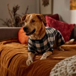 Frisco Plaid Dog & Cat Fleece Pajamas -Blue Buffalo Shop 353755 PT6. AC SS1800 V1660749967