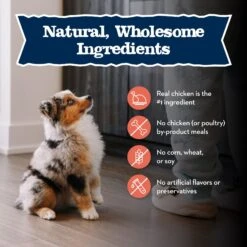 Blue Buffalo Baby Blue Large Breed Healthy Growth Formula Natural Chicken & Brown Rice Recipe Puppy Dry Food, 24-lb Bag -Blue Buffalo Shop 354132 PT5. AC SS1800 V1646091698