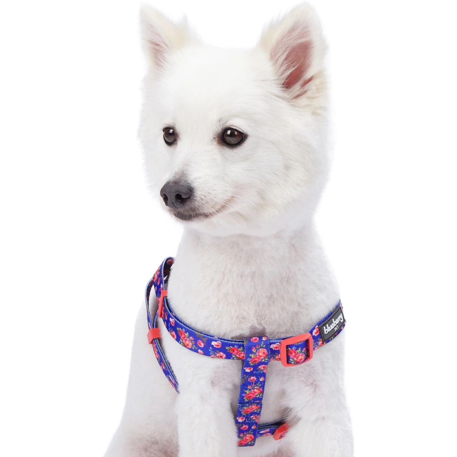 Blueberry Pet Step-in Spring Scent Inspired Rose Print Dog Harness 4 Blueberry Pet Step-in Spring Scent Inspired Rose Print Dog Harness - Image 2