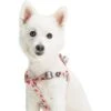 Blueberry Pet Essentials Spring Scent Inspired Garden Floral Step-in Dog Harness -Blue Buffalo Shop 354215 MAIN. AC SS1800 V1639507283