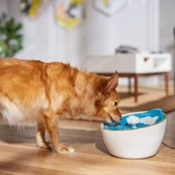 Frisco Ceramic Clouds Dog & Cat Fountain -Blue Buffalo Shop 355803 PT4. AC SS1800 V1665684810