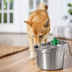 Frisco Stainless Steel Cactus & Leaf Dog & Cat Fountain -Blue Buffalo Shop 355814 PT5. AC SS1800 V1665683869