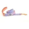 Eat Play Wag Cotton Candy Standard Leash -Blue Buffalo Shop 355921 MAIN. AC SS1800 V1640276788