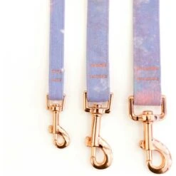 Eat Play Wag Cotton Candy Standard Leash -Blue Buffalo Shop 355921 PT1. AC SS1800 V1640276490