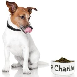 GoTags Personalized Dog Bowl, White 6 GoTags Personalized Dog Bowl, White -Blue Buffalo Shop 357167 PT2. AC SS1800 V1645489371