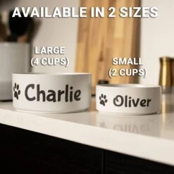 GoTags Personalized Dog Bowl, White 7 GoTags Personalized Dog Bowl, White -Blue Buffalo Shop 357167 PT3. AC SS1800 V1645492007