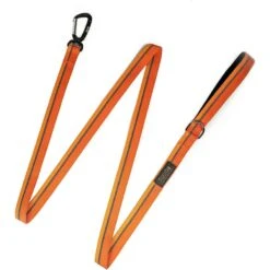 Mighty Paw Polyester Reflective Colorblast Dog Leash, 6-ft Long