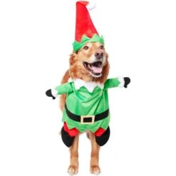 Frisco Front Walking Elf Dog & Cat Costume -Blue Buffalo Shop 357956 PT3. AC SS1800 V1660760416
