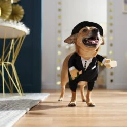 Frisco Front Walking New Years Tuxedo Dog & Cat Costume -Blue Buffalo Shop 358028 PT7. AC SS1800 V1661799888