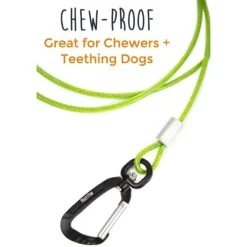 Mighty Paw Stainless Steel Chew Proof Cable Leash -Blue Buffalo Shop 358566 PT2. AC SS1800 V1641340886