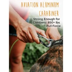 Mighty Paw Stainless Steel Chew Proof Cable Leash -Blue Buffalo Shop 358566 PT3. AC SS1800 V1641335009