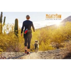 Mighty Paw Stainless Steel Chew Proof Cable Leash -Blue Buffalo Shop 358566 PT5. AC SS1800 V1641335661