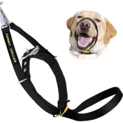 Canny No Pull Padded Dog Training Head Collar
