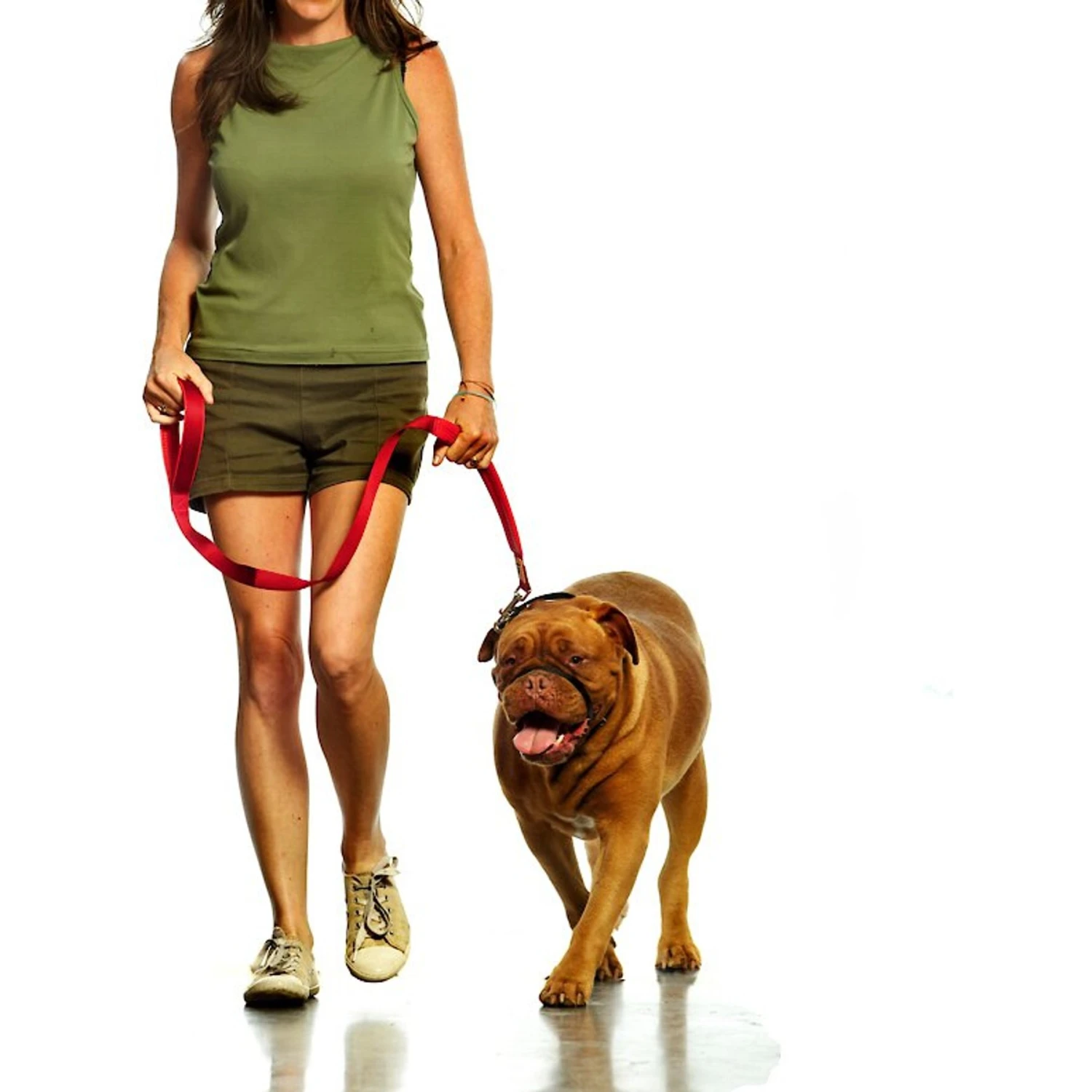 Canny No Pull Padded Dog Training Head Collar 6 Canny No Pull Padded Dog Training Head Collar - Image 4