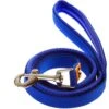 Canny Standard Dog Leash For Use With Canny Collar 2 Canny Standard Dog Leash For Use With Canny Collar -Blue Buffalo Shop 359484 MAIN. AC SS1800 V1642717337