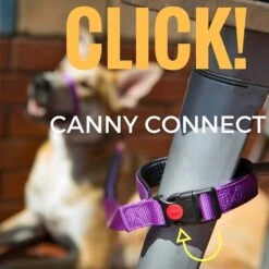 Canny Connect Dog Leash With Lockable Fixed Point Buckle -Blue Buffalo Shop 359492 PT1. AC SS1800 V1642719133