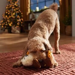 Frisco Holiday Festive Owl Plush Squeaky Dog Toy 8 Frisco Holiday Festive Owl Plush Squeaky Dog Toy -Blue Buffalo Shop 360919 PT3. AC SS1800 V1661874361